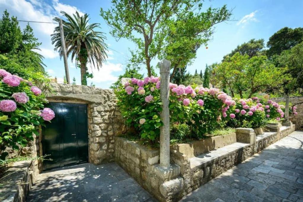 The Soldo'S Apartment Dubrovnik Exterior photo